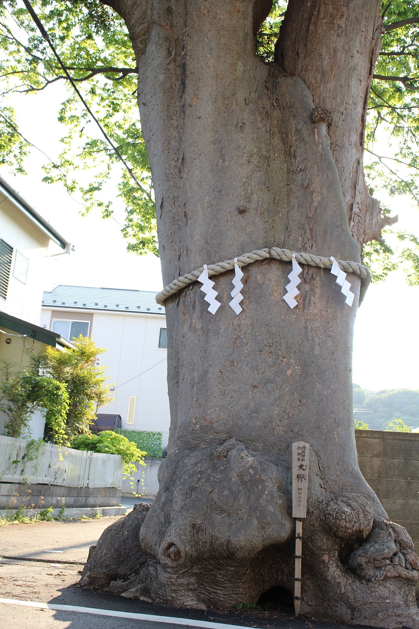 ⛩️ 육소 신사(로쿠쇼진자) 이미지 8